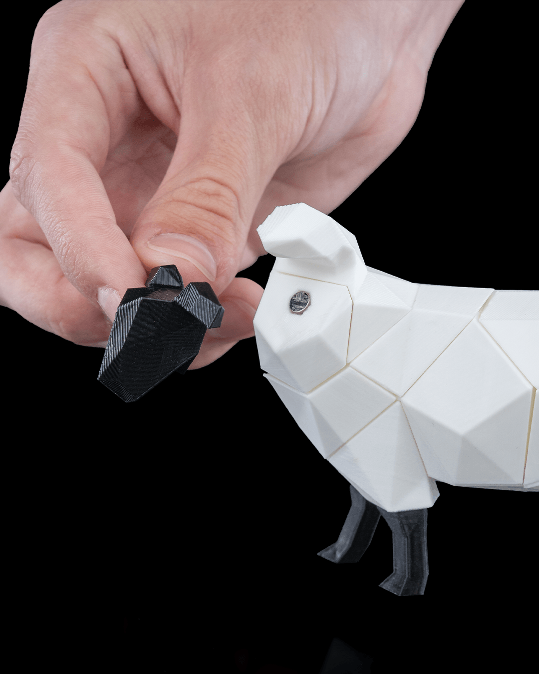 Sheep Puzzle