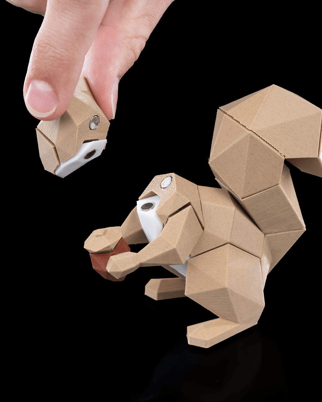Squirrel Puzzle