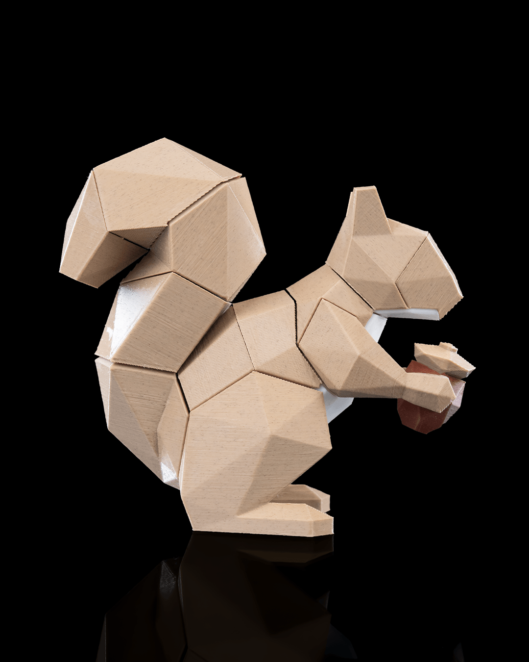 Squirrel Puzzle