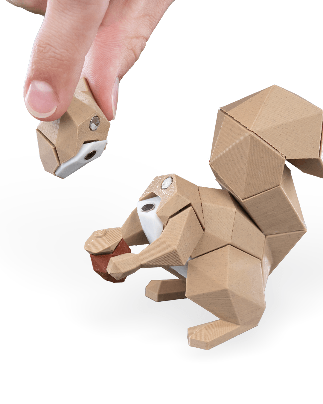 Squirrel Puzzle