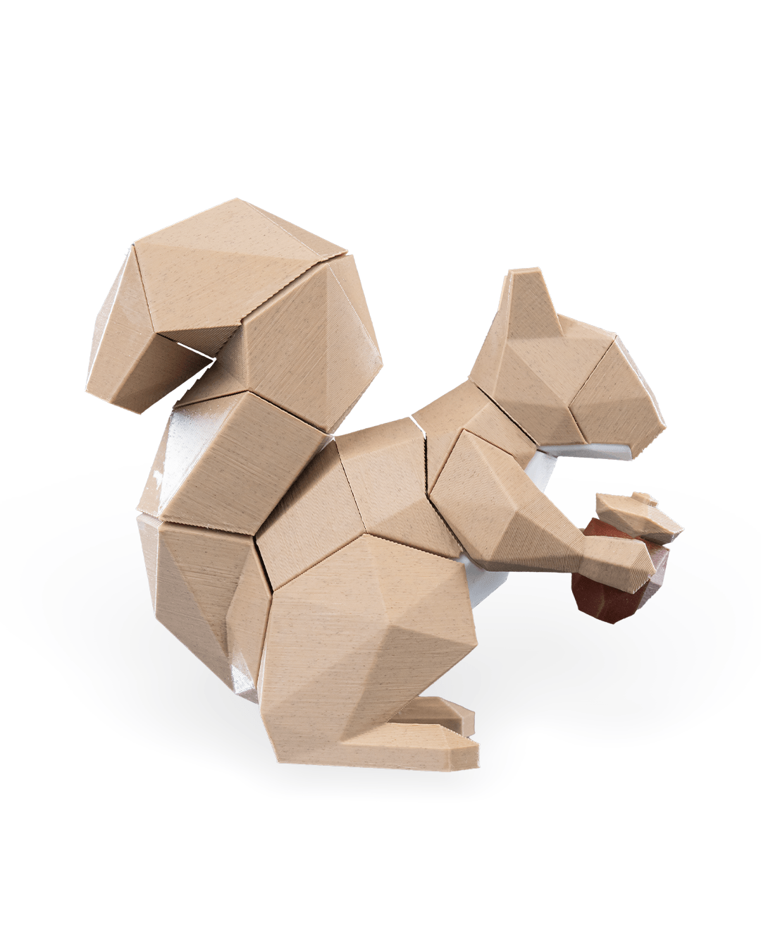 Squirrel Puzzle