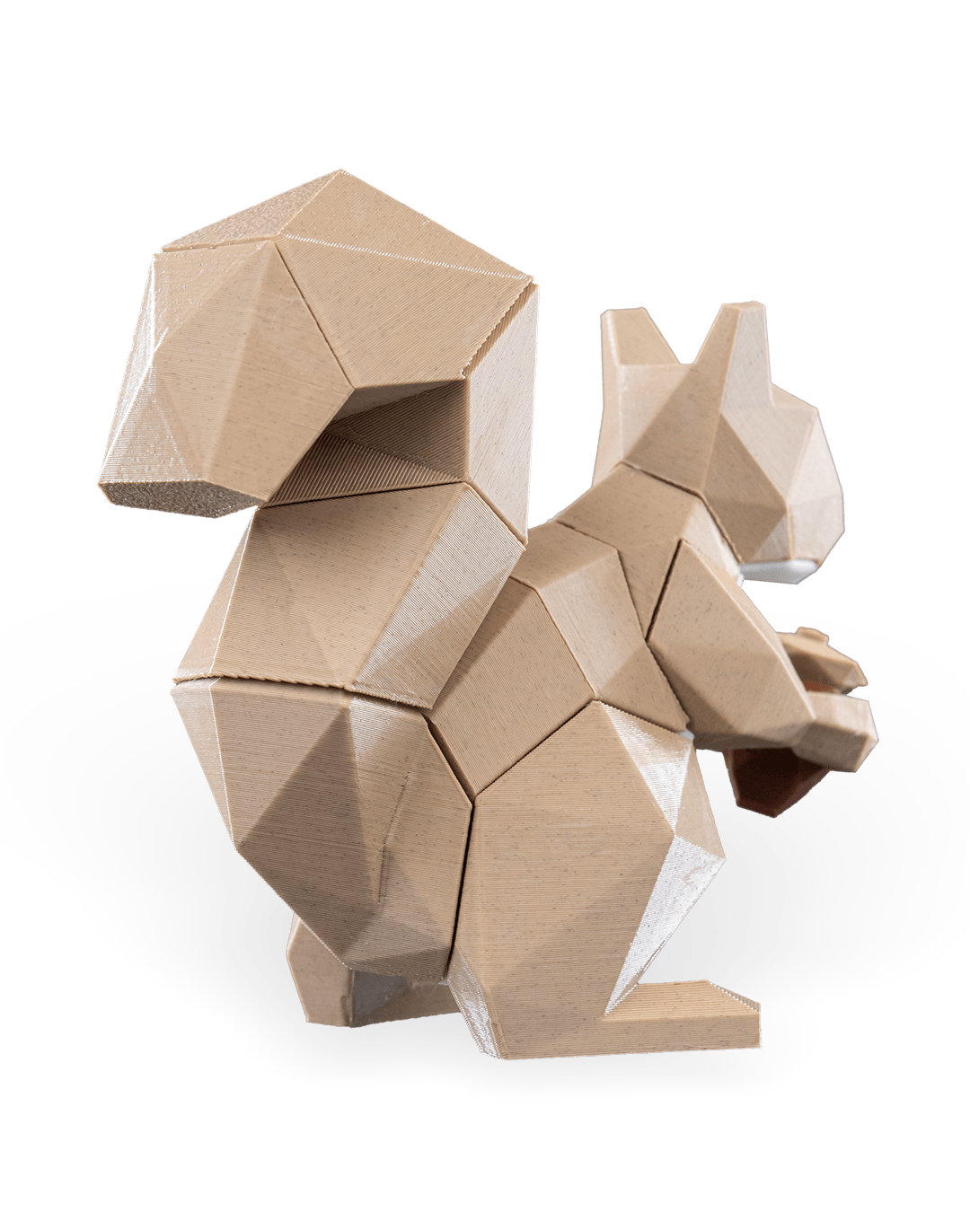 Squirrel Puzzle