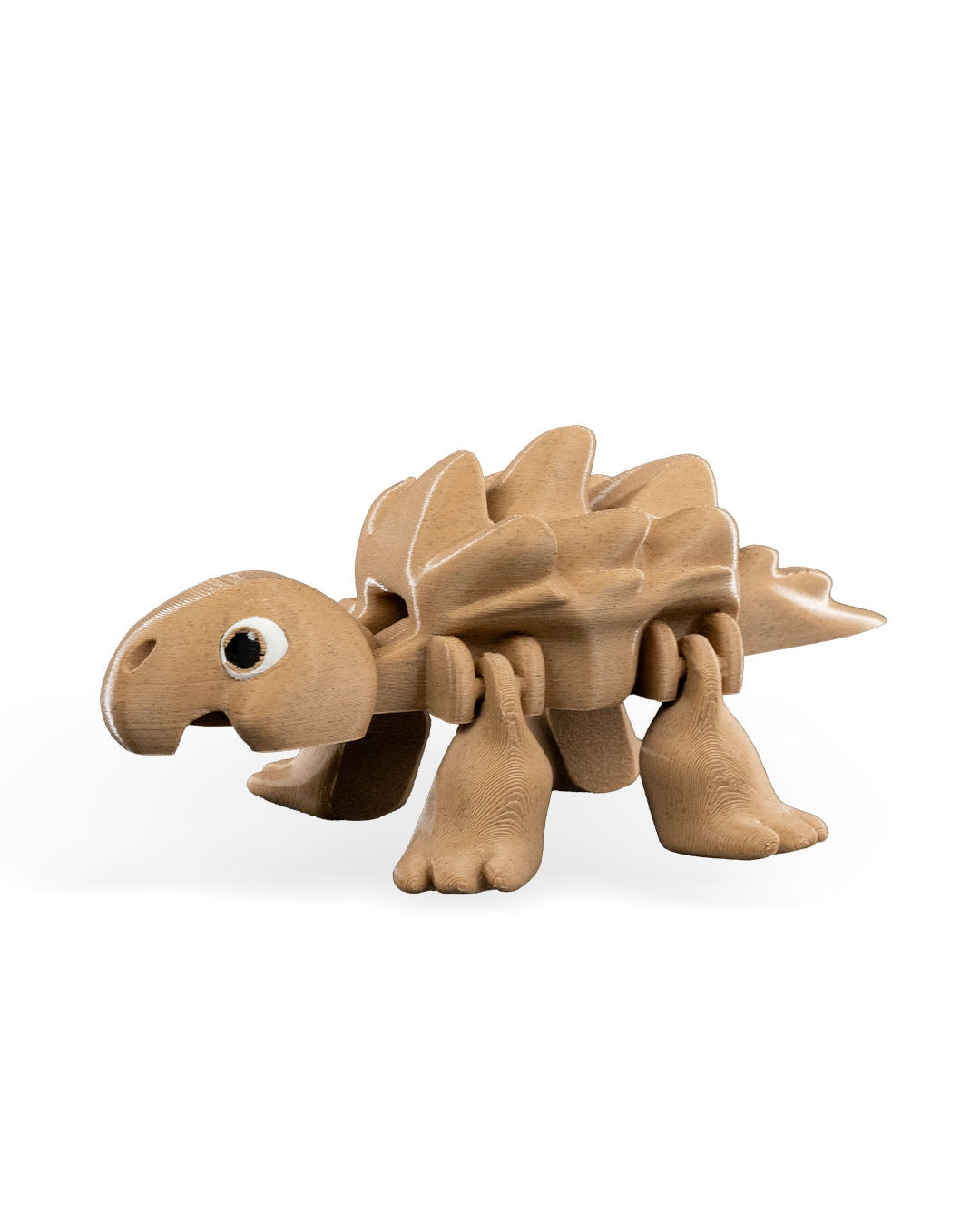 Tired Turtle
