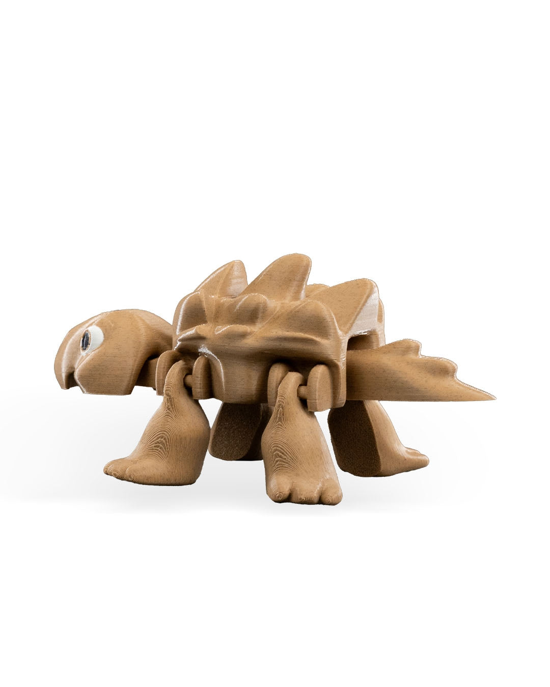Tired Turtle