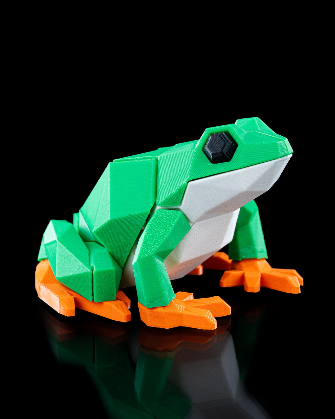 Frog Puzzle