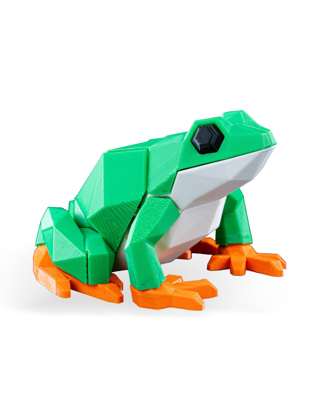 Frog Puzzle