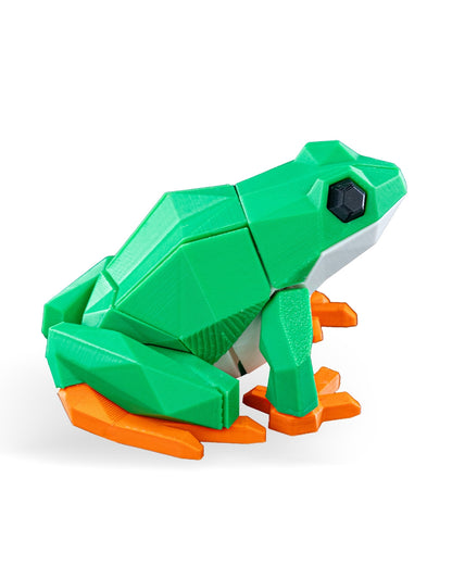 Frog Puzzle