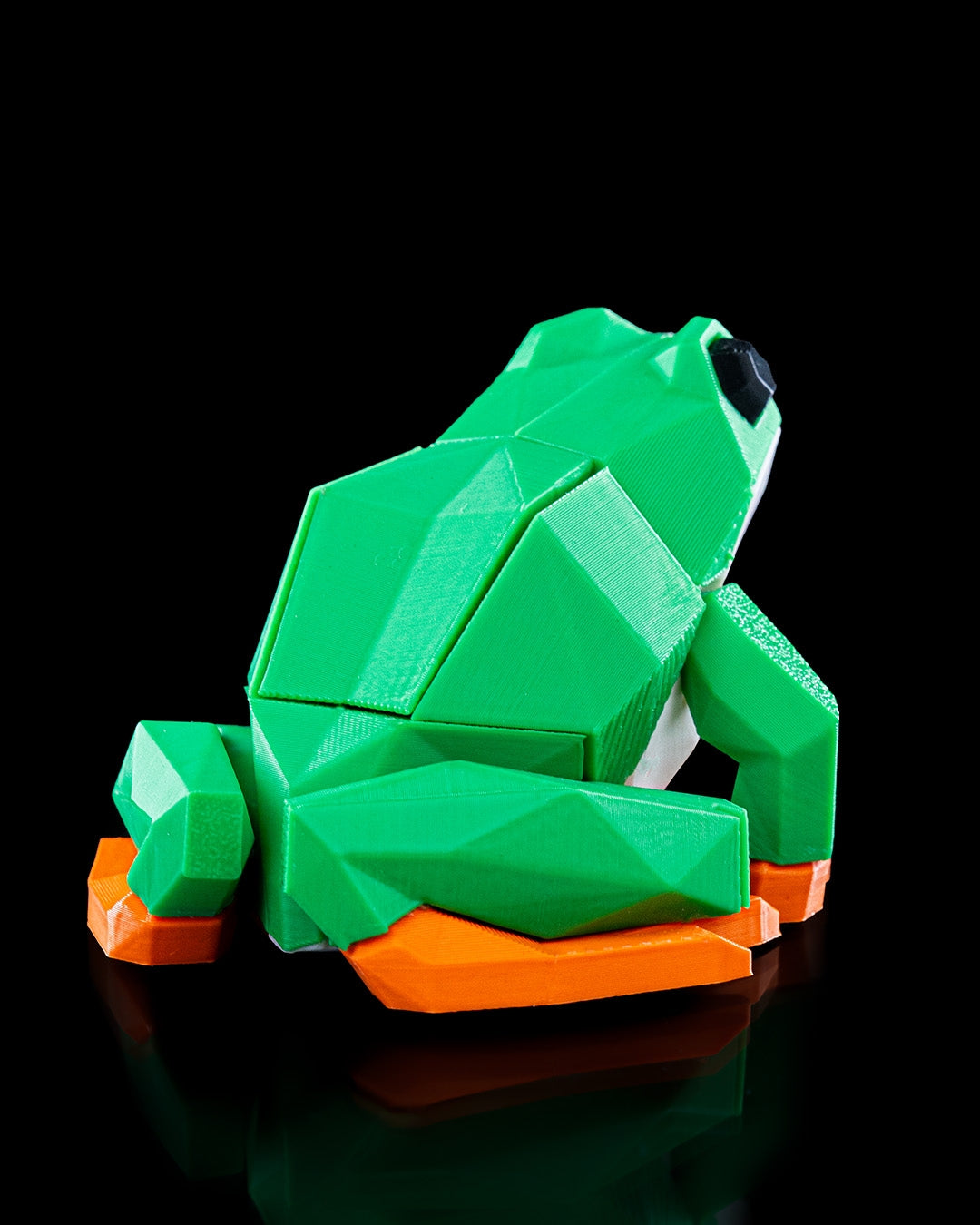 Frog Puzzle