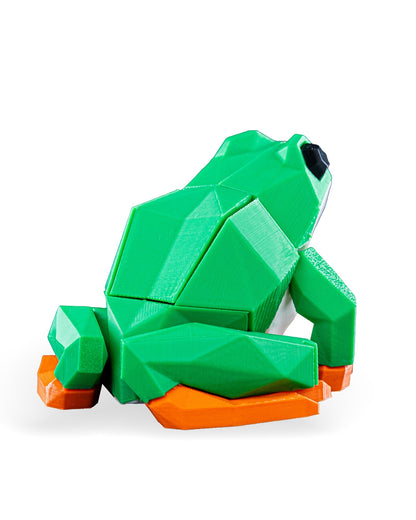 Frog Puzzle