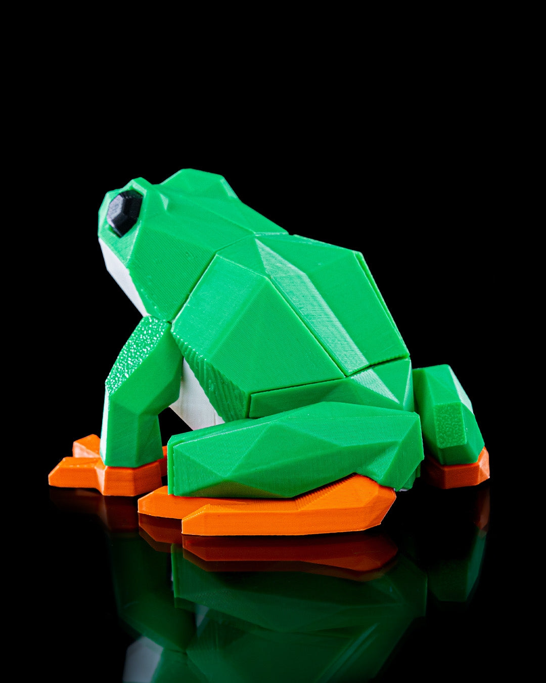 Frog Puzzle