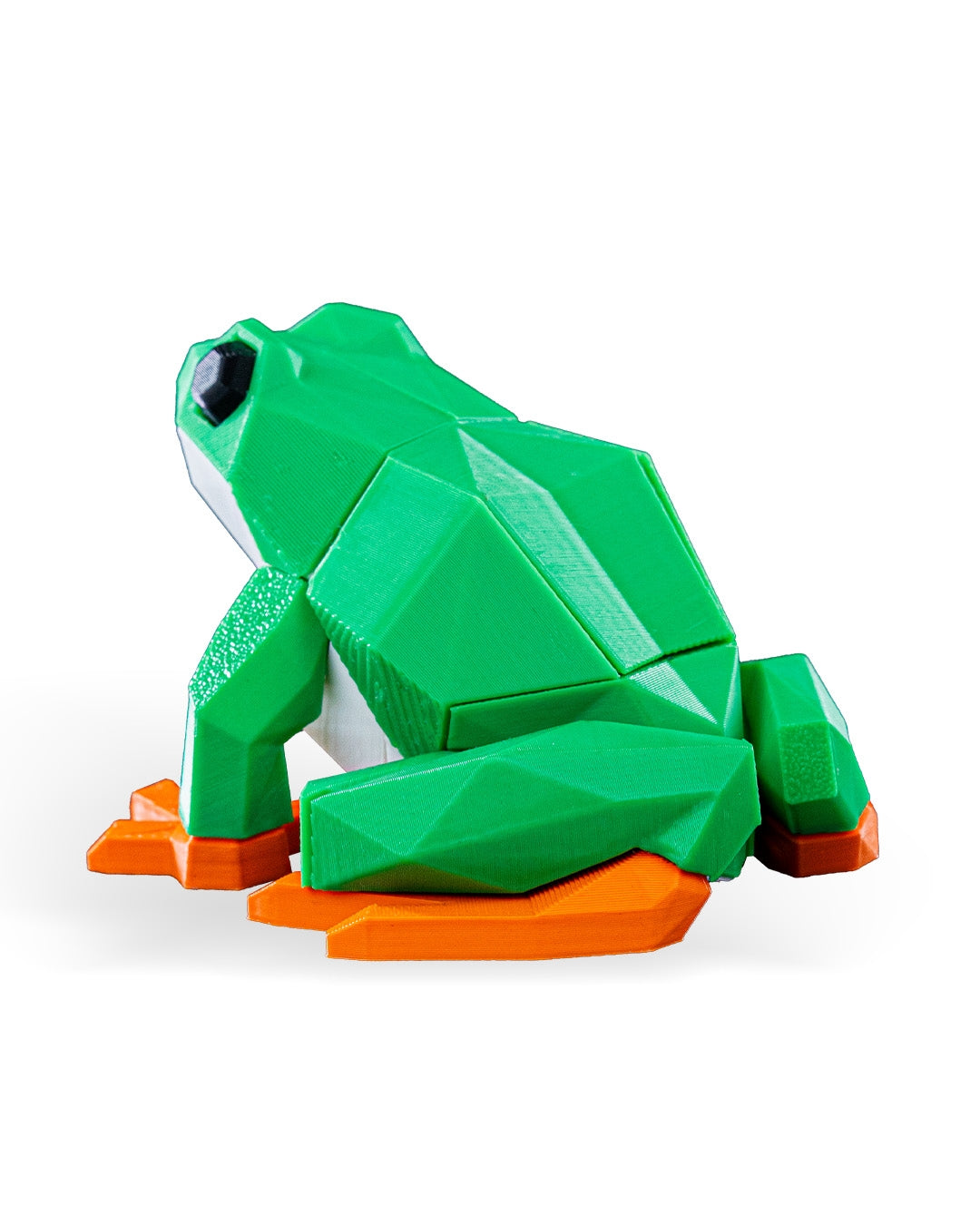 Frog Puzzle