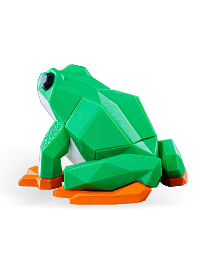 Frog Puzzle