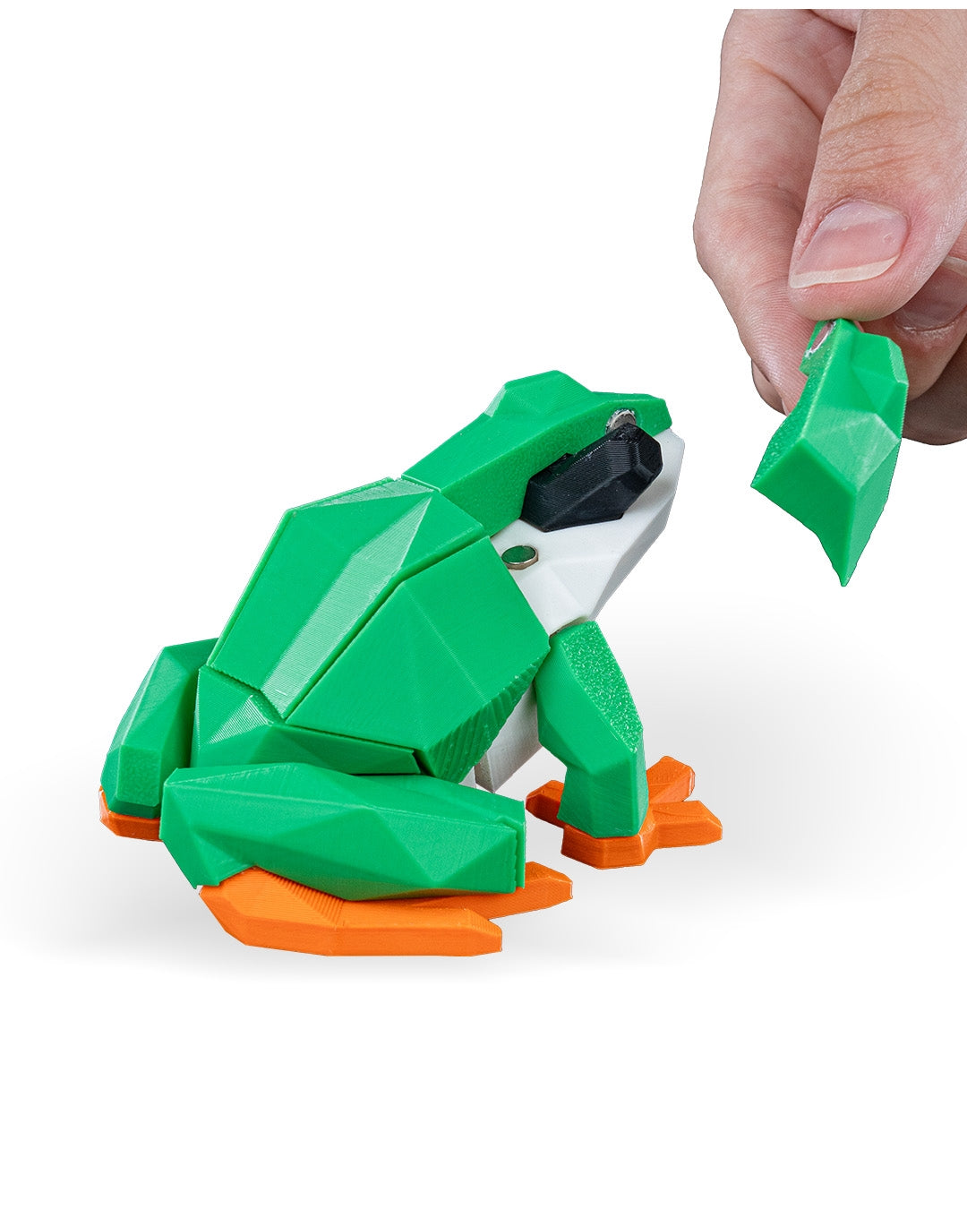 Frog Puzzle