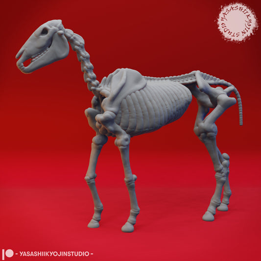 Skeleton Horse / Designed by Yasashii Kyojin Studio