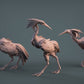 Sandhill Cranes / Stlflix / Imp3dsion