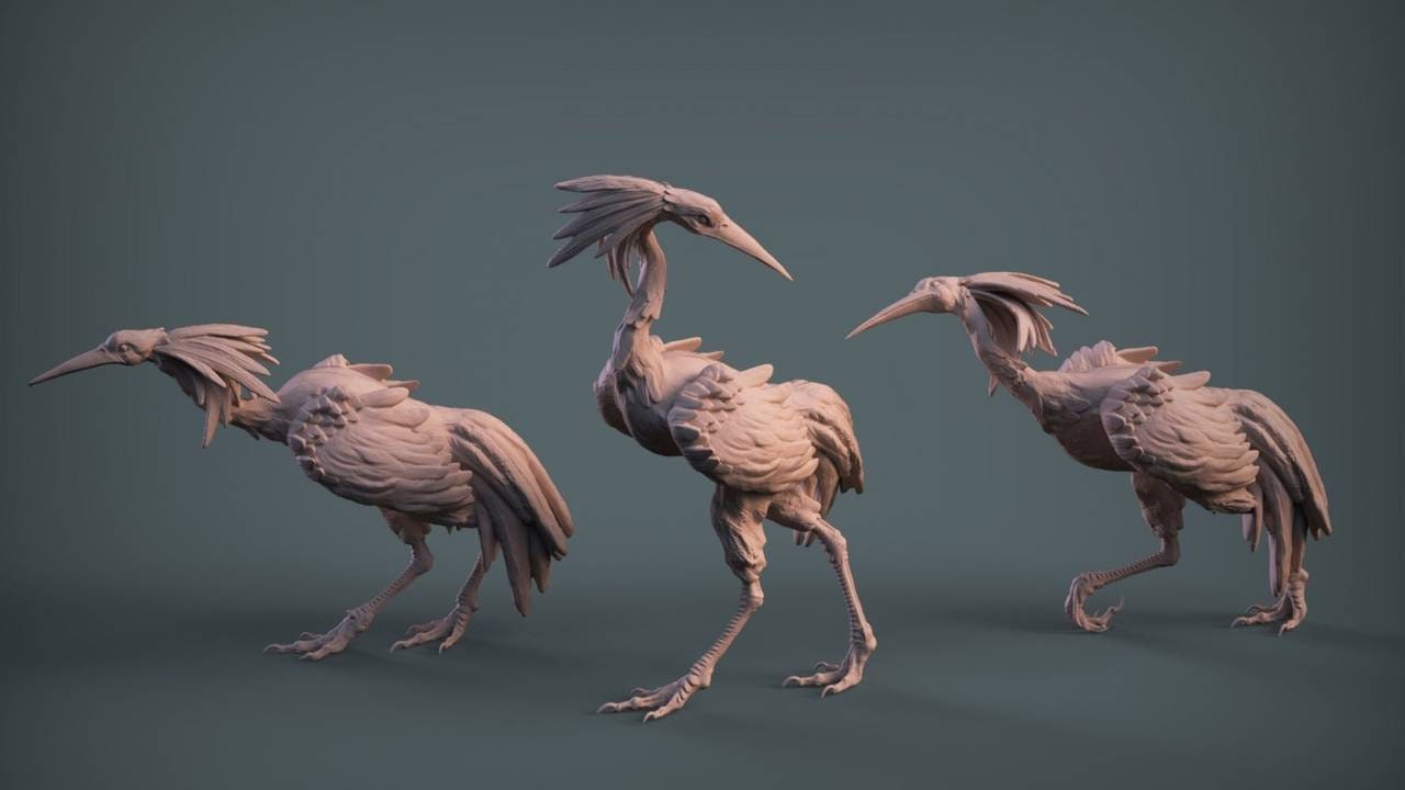 Sandhill Cranes / Stlflix / Imp3dsion