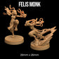 Felis Monk | Designed by The Dragon Trappers Lodge