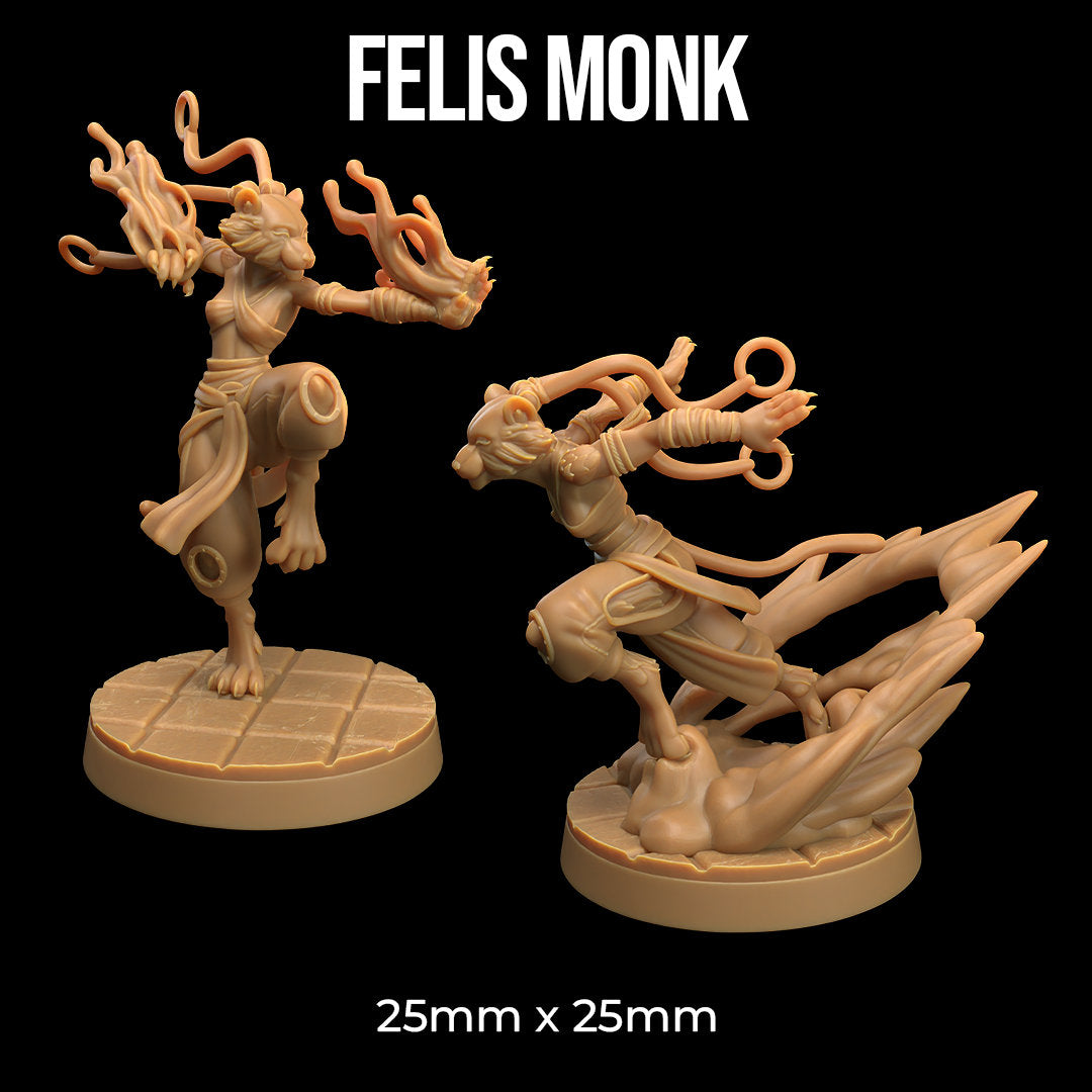 Felis Monk | Designed by The Dragon Trappers Lodge