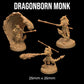 Dragonborn Monks | Designed by The Dragon Trappers Lodge