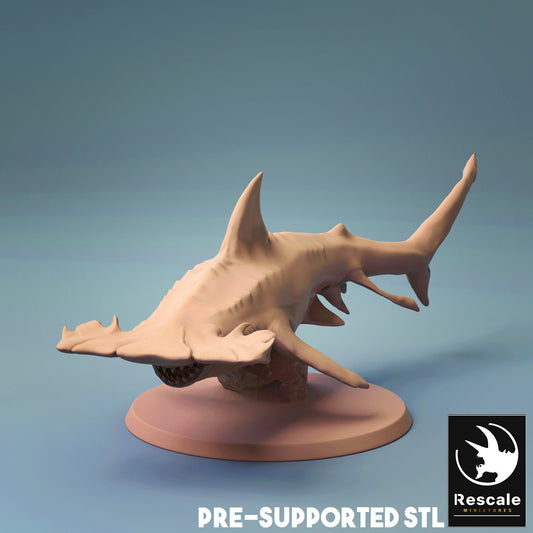 Hammerhead Shark